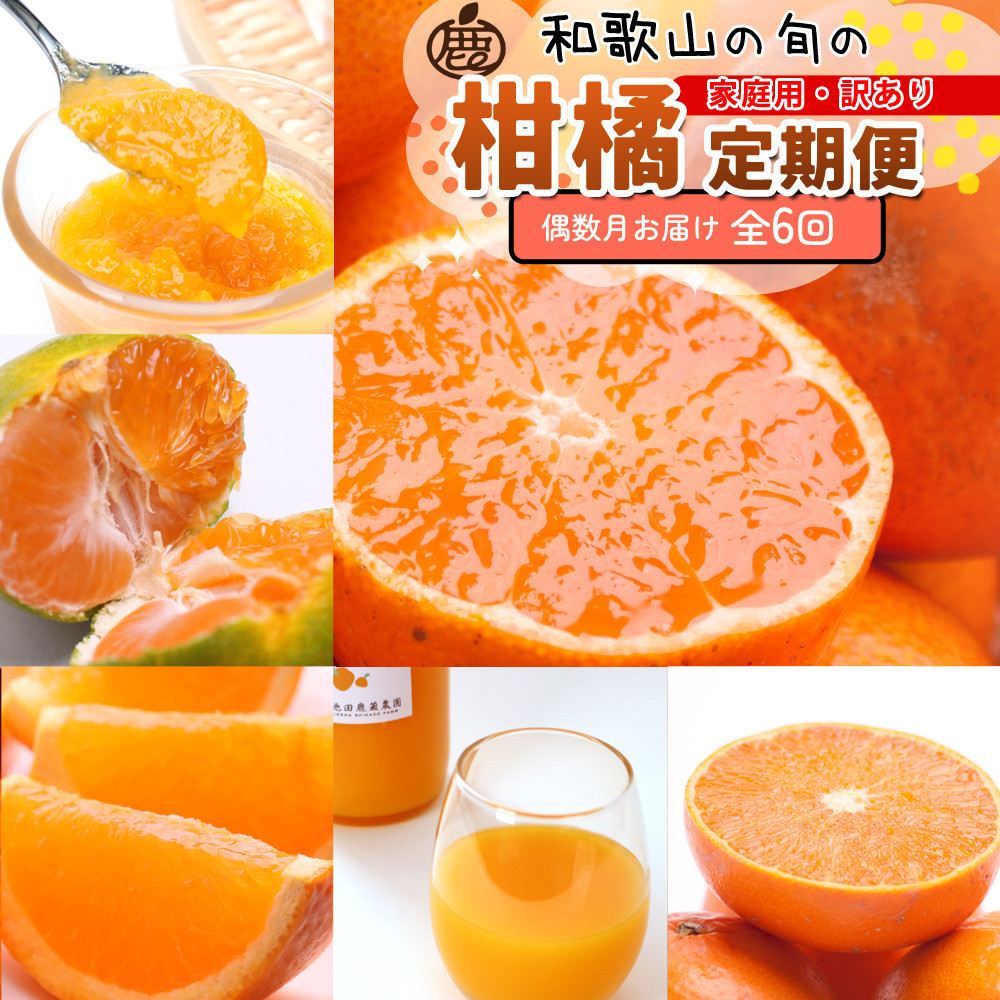 家庭用 柑橘定期便S（偶数月）全6回 ［IKE302］