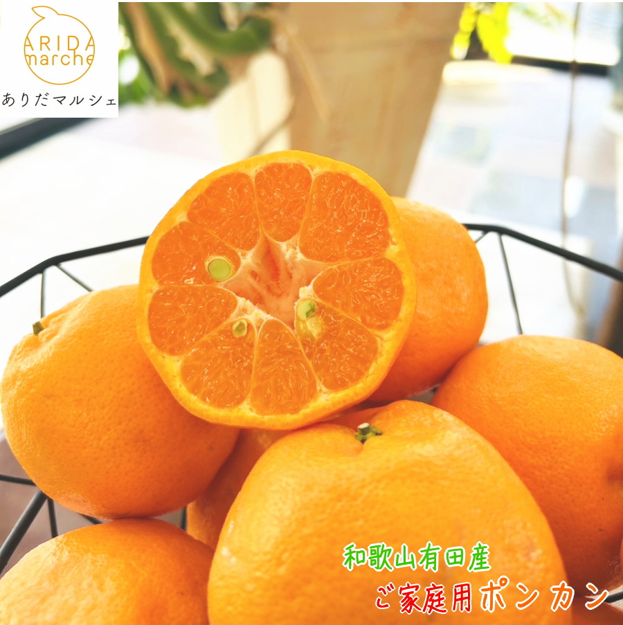 有田育ちの 完熟 ポンカン（ご家庭用）約5kg［先行予約］［MS45］