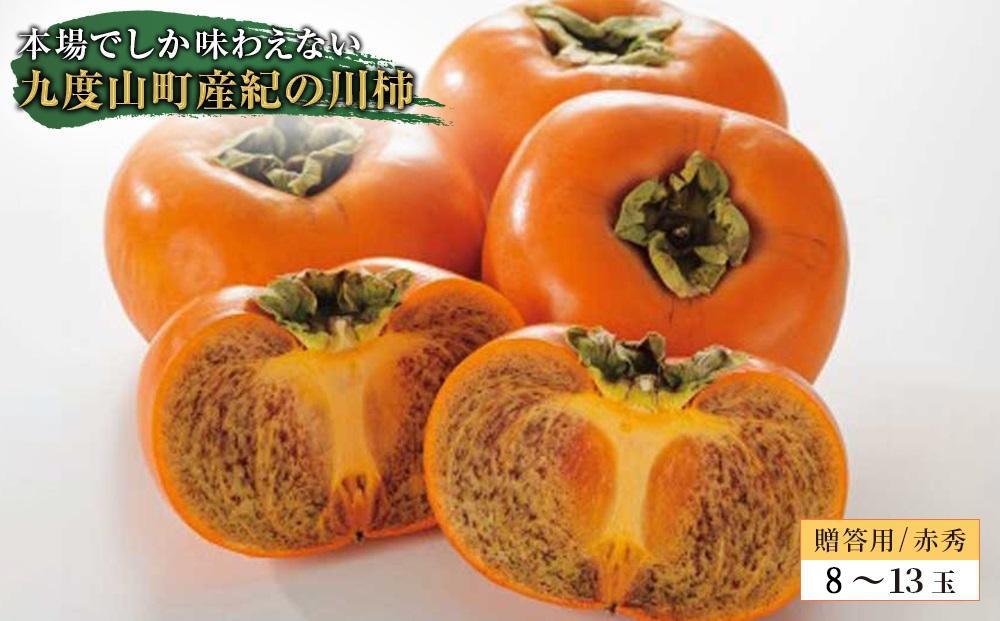 ◆先行予約◆和歌山県産 紀の川柿＜贈答用／赤秀＞ 8-13玉【2026年10月中旬発送】【九度山町産】【MG1】