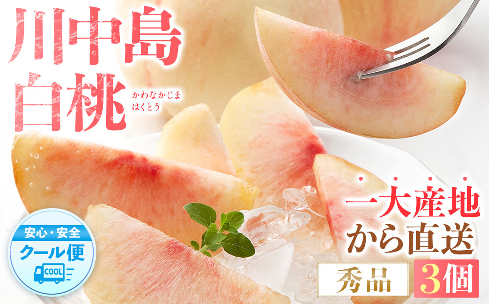 ［秀品］川中島白桃 食べきりやすい3個入り［2026年7月末頃から順次発送］こだわり 農家厳選 先行予約 モモ［KG16］