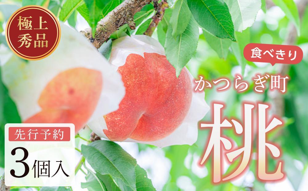 桃 極上秀品 食べきりやすい3個入［先行予約］［2026年7月末から8月末順次発送］こだわり農家厳選！［KG18］