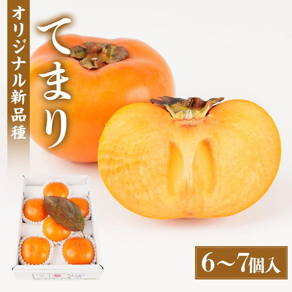 紀州てまり（和歌山県ブランド柿）6～7個入 こだわり農家厳選 先行予約 ［2026年9月末から10月末頃順次発送］［KG27］