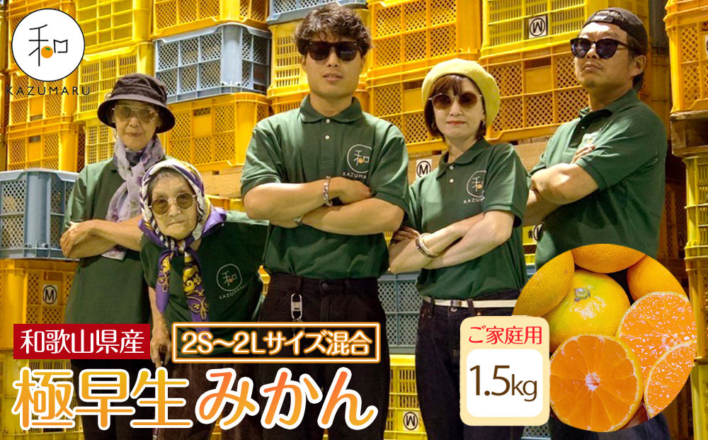 家庭用 森本農園の手選別 極早生みかん 1.5kg 和歌山県産 2S~2Lサイズ混合 ［北海道・沖縄・離島配送不可］［RN1］［2025年10月上旬から順次発送］