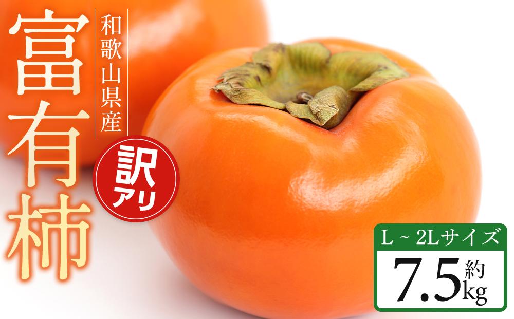 【2026年11月中旬～発送】和歌山県産 訳あり 富有柿 7.5kg L ~ 2L サイズ ご家庭用 柿 選果場 直送