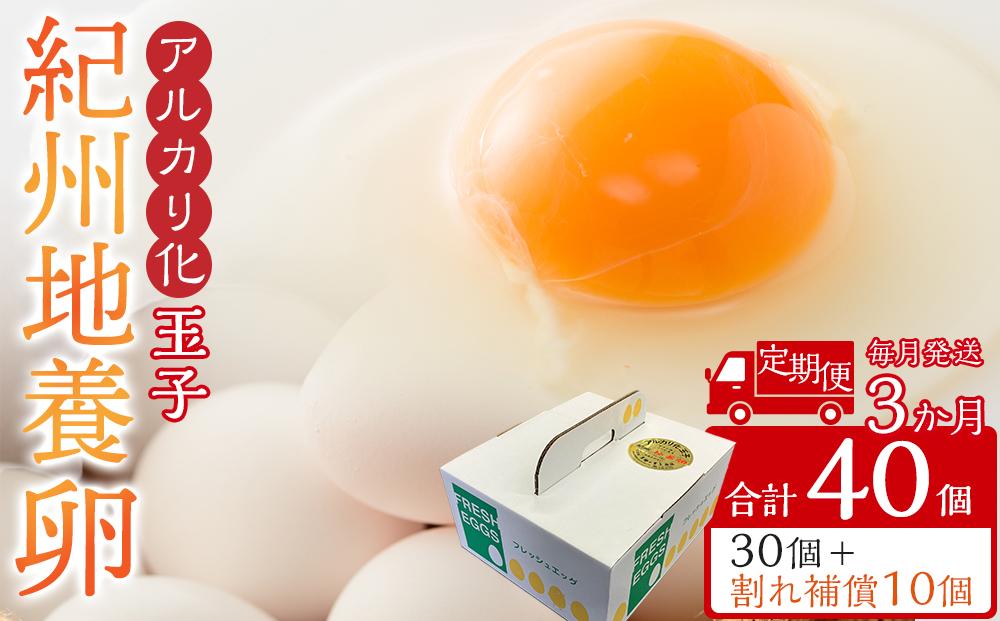 【定期便 毎月発送 全3回 】アルカリ化 玉子 紀州地養卵 合計 40個入 (30個＋割れ補償分10個）× 3回　卵 たまご 玉子 タマゴ 鶏卵 まとめ買い オムレツ 卵かけご飯 朝食 業務用
