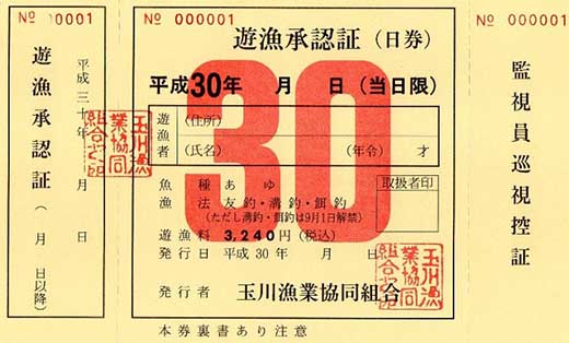 あゆ釣り遊魚承認証 1日券1枚
