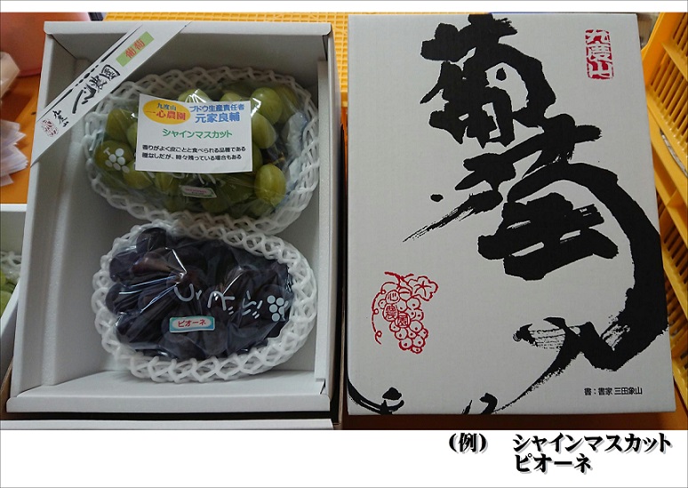 一心農園のブドウ　贈答用(2～5房入り)　品種お任せ
