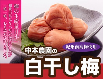 本場和歌山みなべの昔ながらのしょっぱい梅干し 2kg（1kg×2セット）