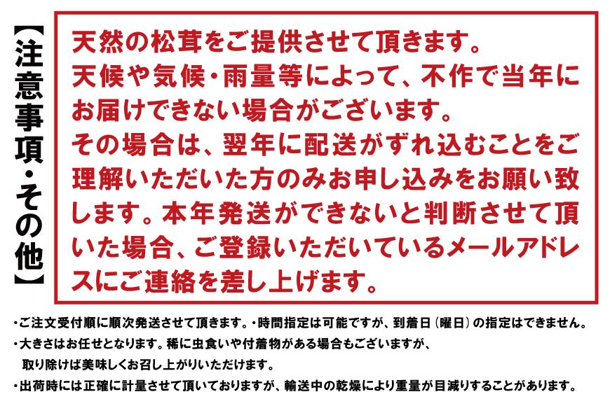 【2025年発送分】香り・歯応え・味ともに最高級！希少な国産松茸「高野松茸」300g【化粧箱入】