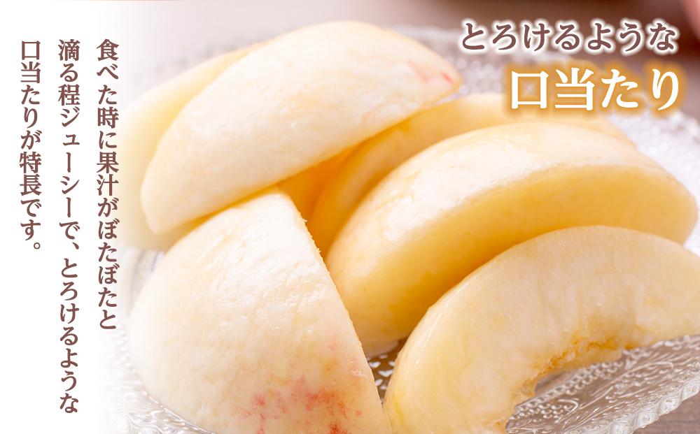 和歌山県産 白鳳 桃 5～8玉入り 秀品 先行予約［2025年6月下旬以降発送］［MG6］