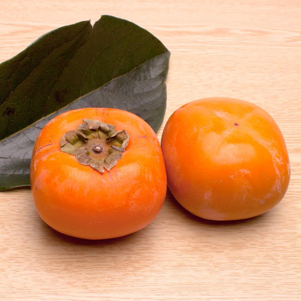 ［先行予約］厳選 たねなし柿 約10kg［刀根早生・平核無柿（ひらたねなしかき）］[カキ・種無柿・種無し柿・種なし柿・無核柿］［IKE96］