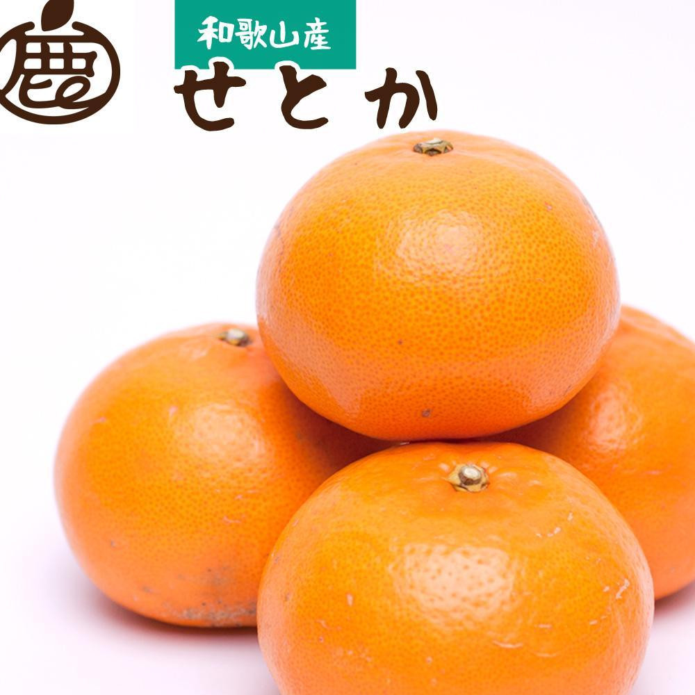厳選 せとか10kg+250g（傷み補償分）［柑橘・春みかんの王様］［光センサー選果・食べ頃出荷］ ［IKE255］