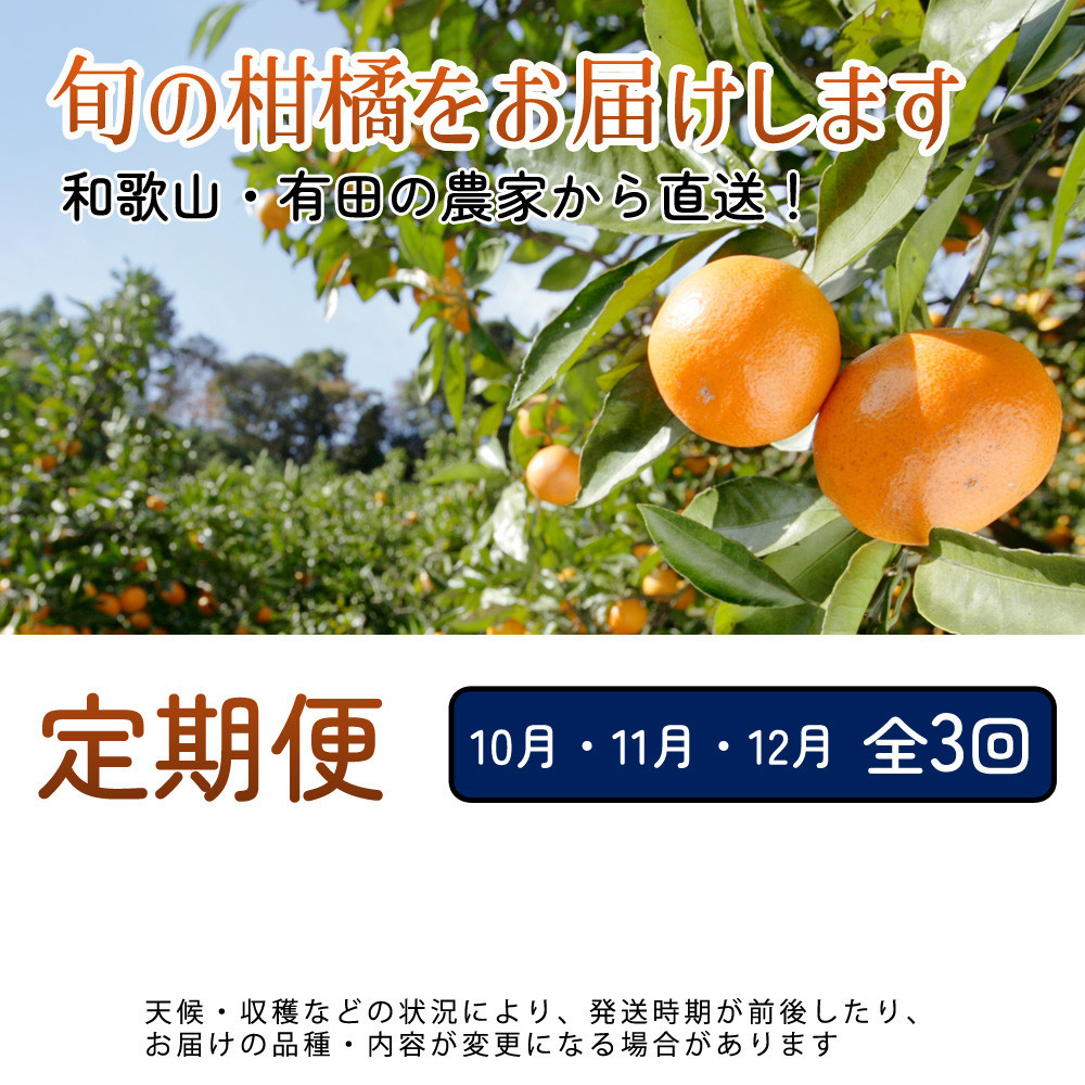 家庭用 柑橘定期便S（10～12月）全3回 ［IKE306］