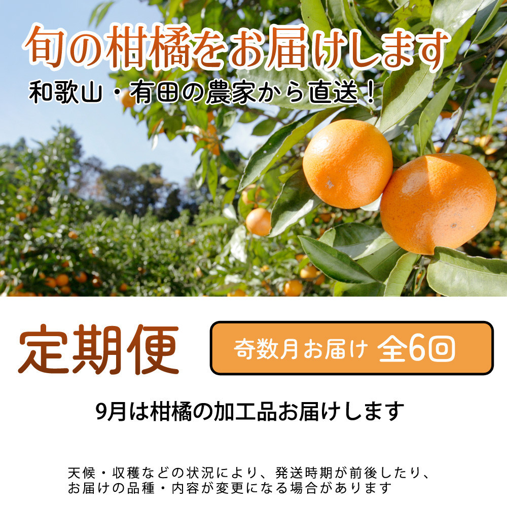 家庭用 柑橘定期便M（奇数月）全6回 ［IKE308］