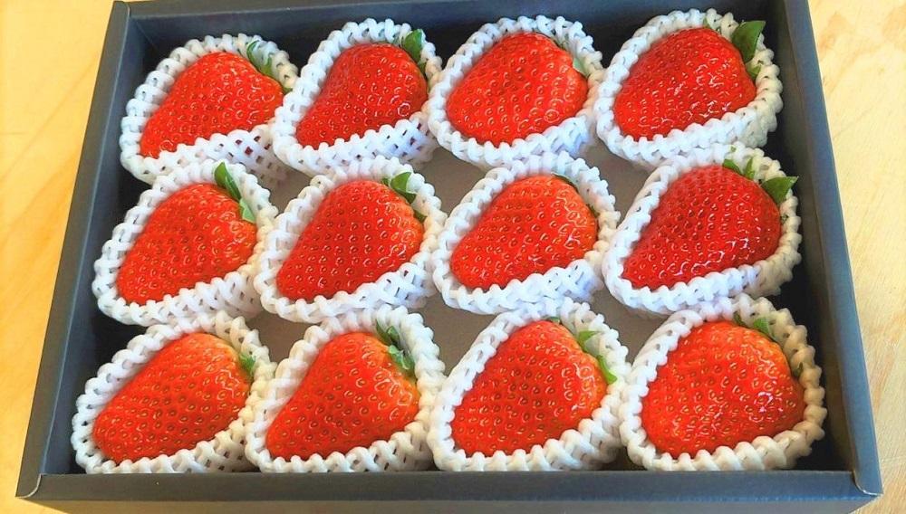 超特選☆いちご【まりひめ】2026年1月中旬から3月下旬まで発送【KF8】