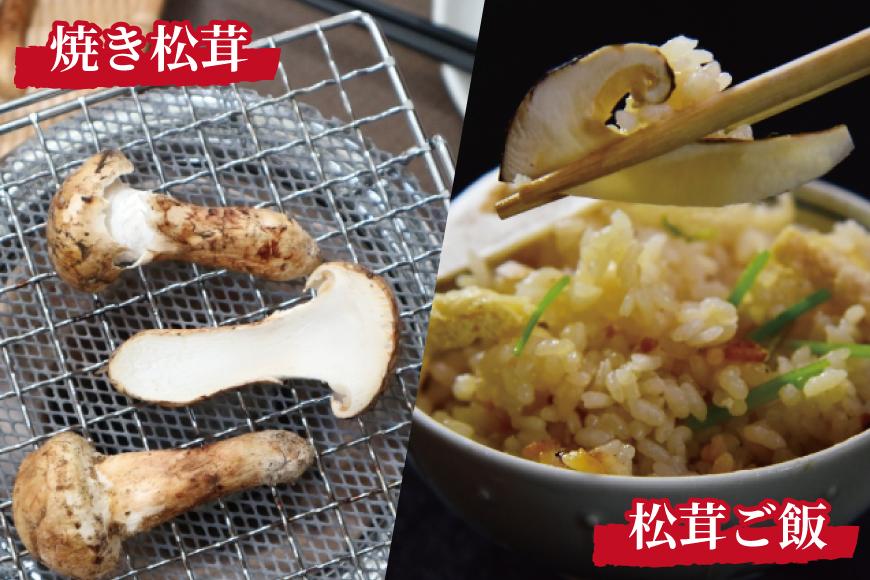 先行予約 国産松茸 約300g 数量限定 香り高く希少【和歌山県高野町産】【2026年9月下旬～11月上旬頃発送予定】