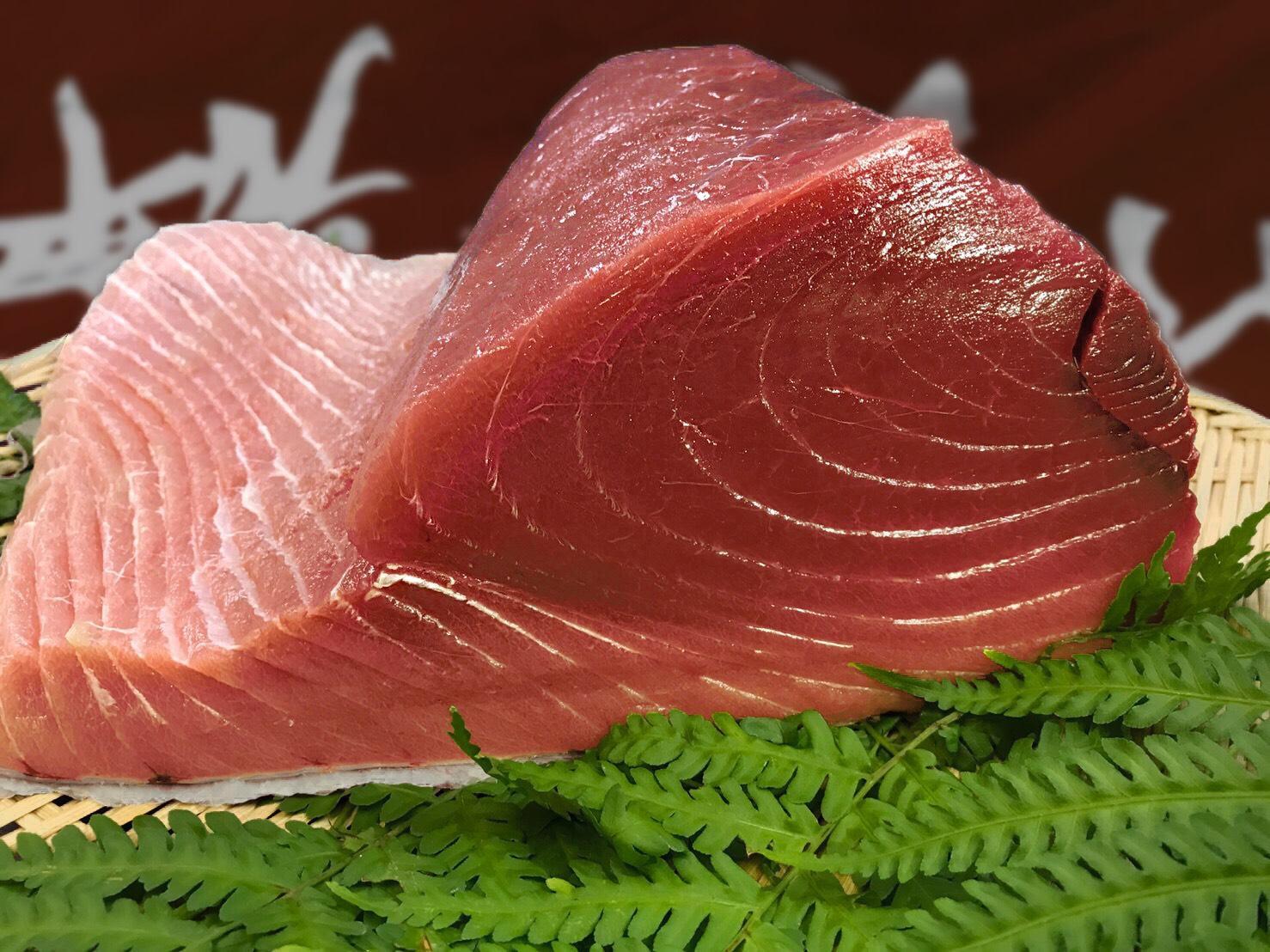 【定期便全3回】生まぐろの本場紀州勝浦から直送！ 生メバチマグロ 約1.5kg（1カ月に1回お届け）（全3ヵ月）