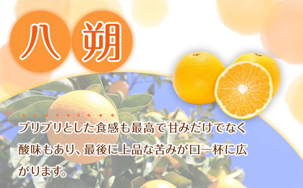訳あり 森本農園の手選別 八朔 約10kg 和歌山県産 サイズ混合 ［北海道・沖縄・離島配送不可］［2026年1月中旬から発送予定］［RN121］★