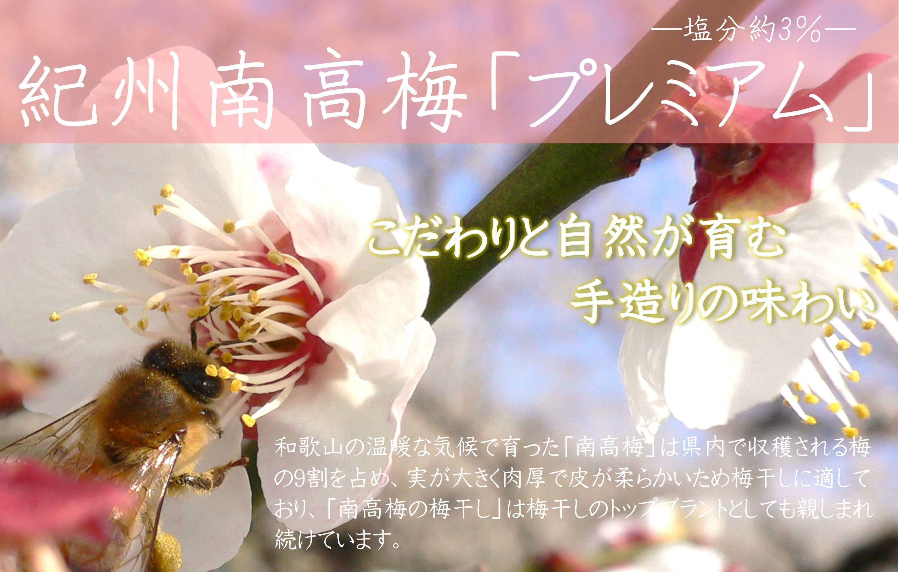 紀州南高梅 プレミアム 塩分約3％ 850g ［YM12］