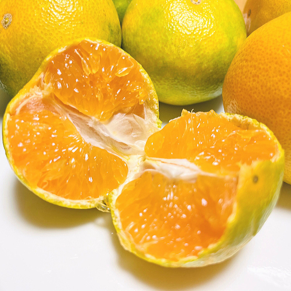 《先行予約・2026年10月～発送》ご家庭用ゆら早生 有田みかん ３kg［訳あり］［MS26］