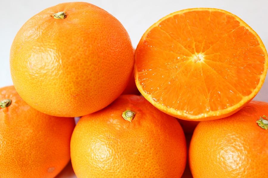 紀州有田産せとか約2.5kg　とろける食感！ジューシー柑橘【2026年2月上旬以降発送】【先行予約】【UT02】