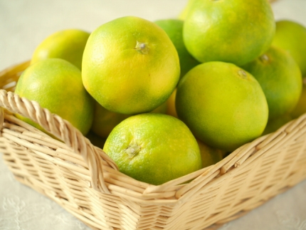 ［産直］YN26極早生みかん約5kg（2S～Mサイズおまかせ）★2026年9月中旬頃より順次発送［TM13］