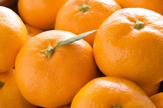 ［産直・秀品］和歌山下津みかん約5kg（S～Lサイズおまかせ）★2026年11月中旬頃より順次発送［TM133］