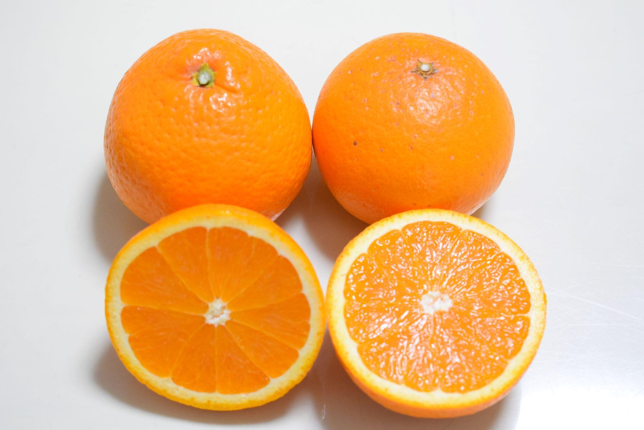 ［濃厚］有田産清見オレンジ約5kg(M～3Lサイズおまかせ、または混合)ご家庭用★2026年2月中旬頃より順次発送［TM211］