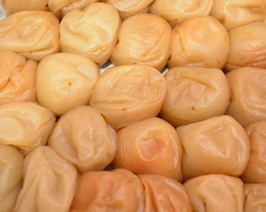 高級南高梅うす塩・邑咲（昆布旨味）個包装計20粒入 紀州塗箱 網代模様仕上