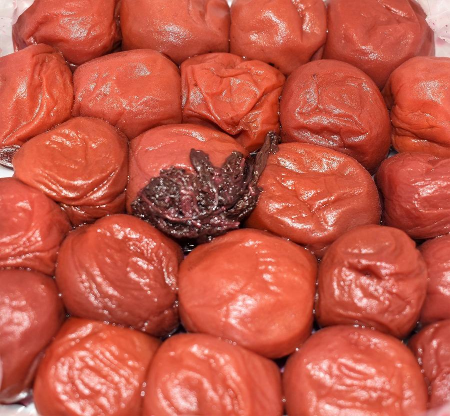 高級南高梅しそ漬梅800g入 紀州塗箱 網代模様仕上 【SW82】