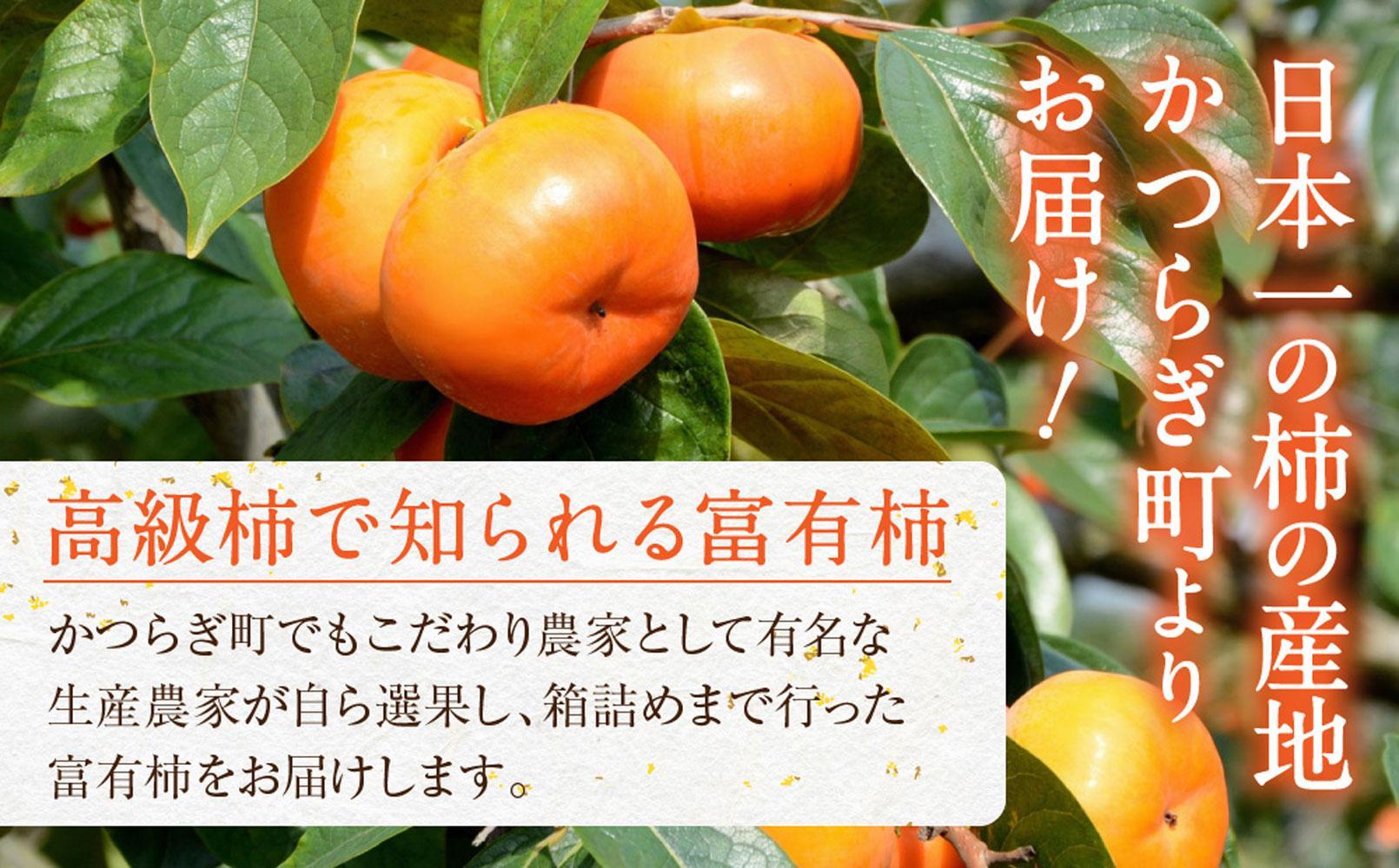 先行予約 富有柿 秀品6～8個入り こだわり農家厳選［2026年11月初旬頃から12月上旬頃順次発送］［KG25］