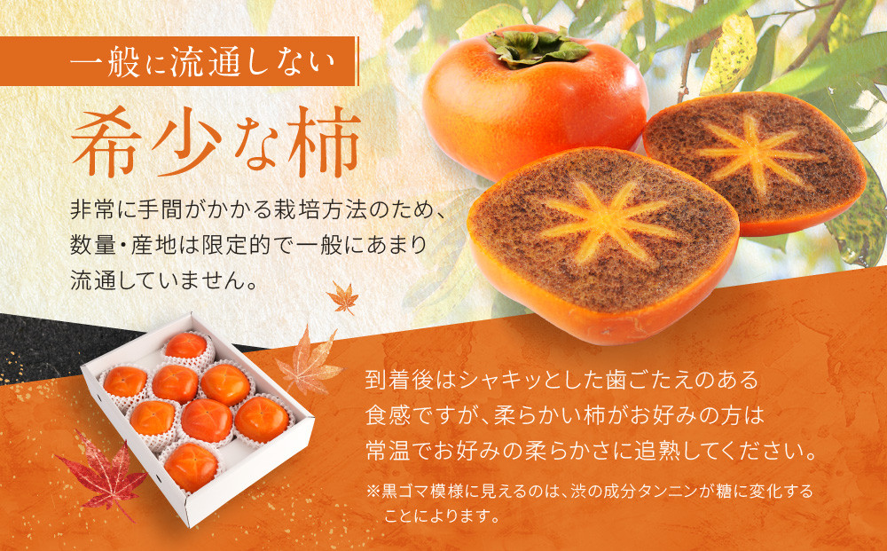 ［2026年発送分］先行予約！ 紀の川柿（果実の中身が黒い！黒蜜柿）希少栽培！ 秀品 6個～9個 こだわり農家厳選！［KG34］