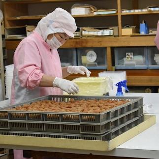 紀州南高梅 白干梅干し 500g ご家庭用 【US34】