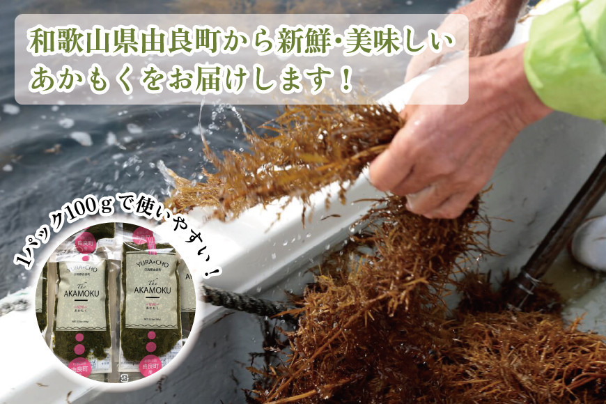 紀州あかもく［由良町産］100g×10パック（2025年産）【SL12】