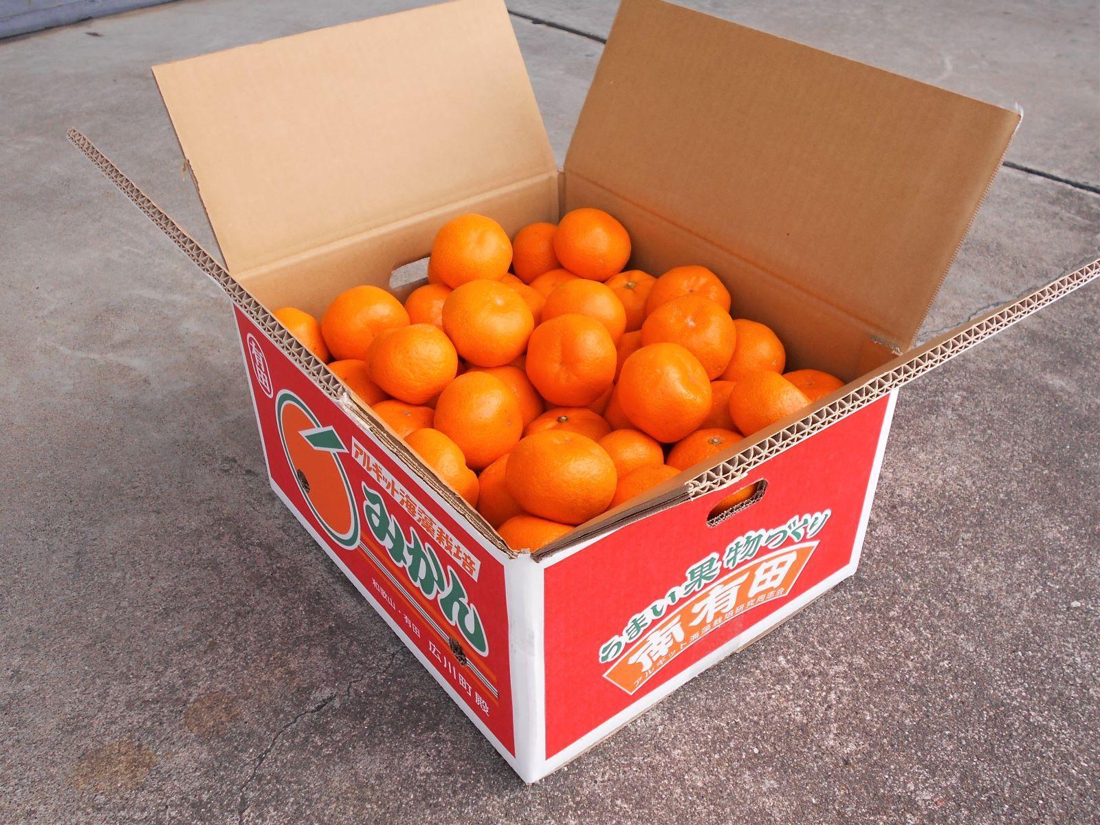 紀州有田みかん　秀品　約10kg　サイズおまかせ（Ｌ・M・S）いずれかお届け［SL43］