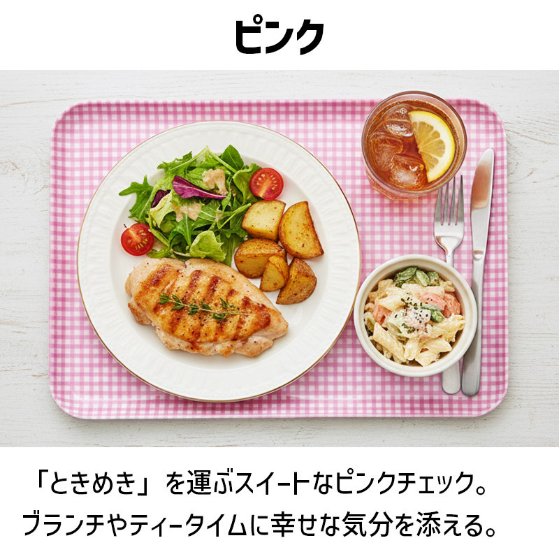 TATSU-CRAFT マグネットトレー SS 21.5cm チェック PK ピンク すべり止め付き ［Tk1052］