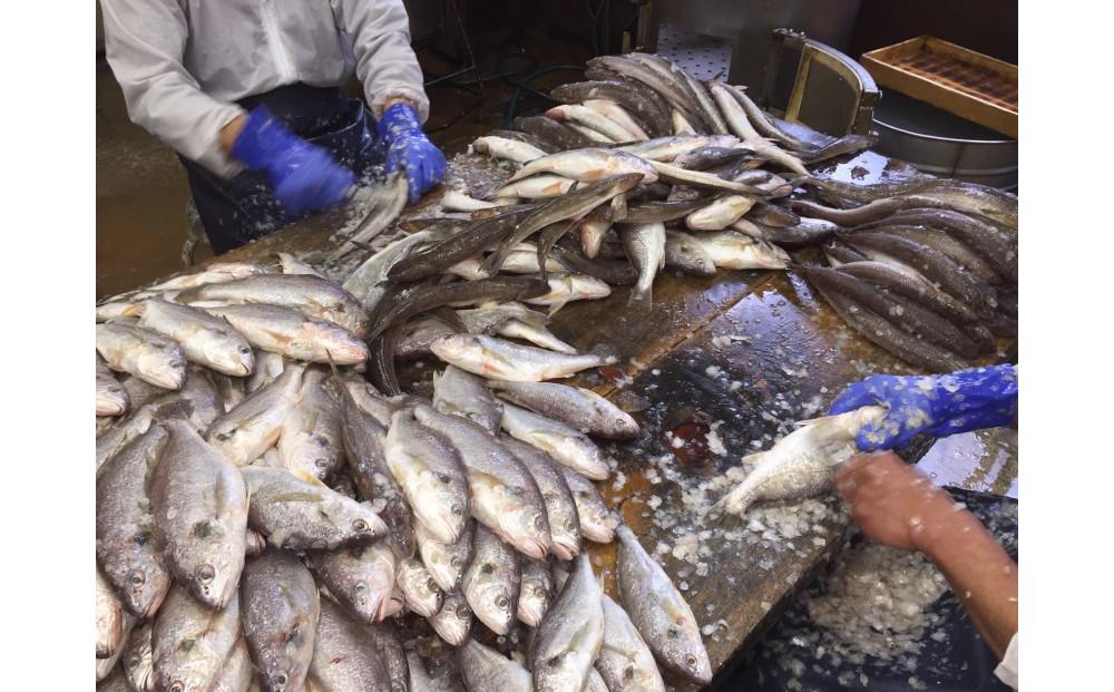 【高野町】紀州名産「なんば焼」2枚箱入【NK1】