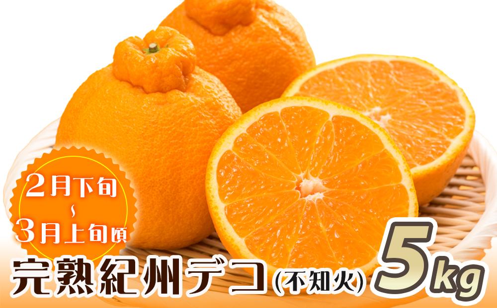 【魚鶴商店厳選】和歌山人気の柑橘定期便（有田みかん・不知火・清見オレンジ）【定期便全3回】【UT116】