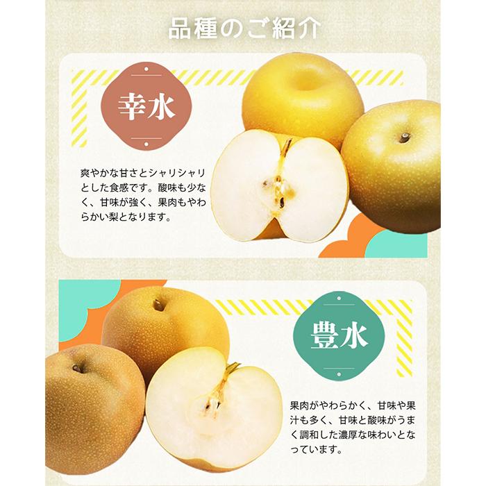 梨 3玉 化粧箱入 紀州和歌山 かつらぎ産［2026年8月中旬以降発送予定］［UT98］