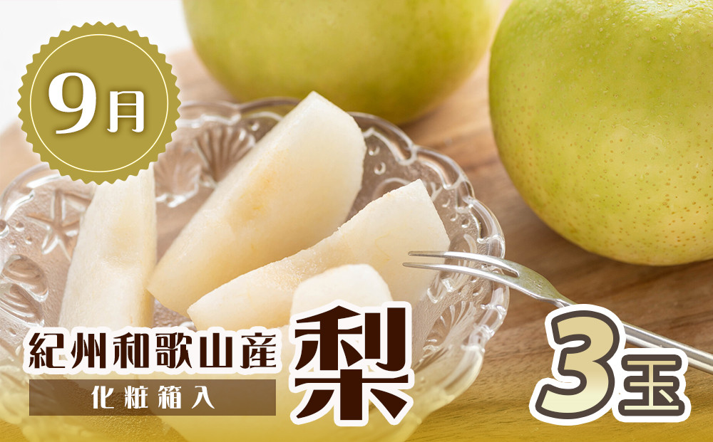 【全2回 定期便】 紀州和歌山産旬のフルーツセット（8月：桃3玉・9月：梨3玉） ［UT141］