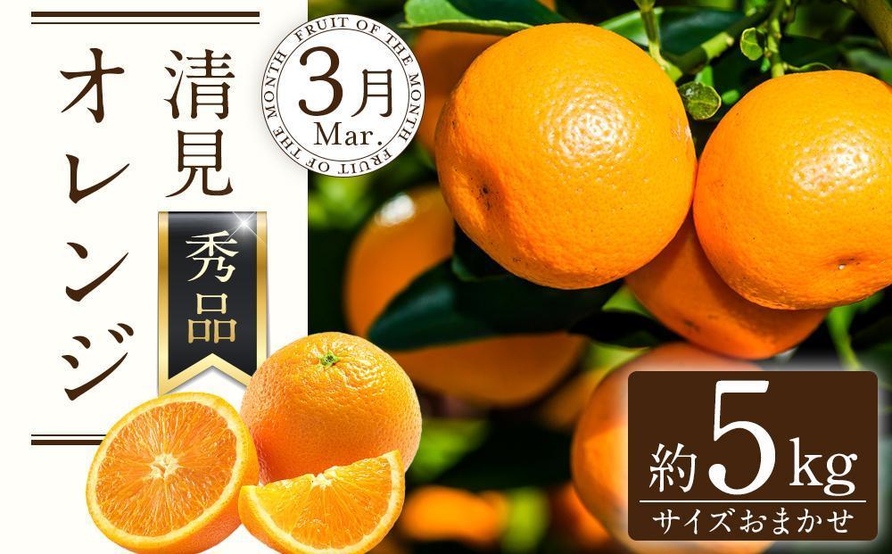 定期便全3回 【2月・3月・4月発送】 和歌山の春のフルーツ （ポンカン・清見オレンジ・まりひめ）【TM174】