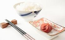 ［梅干・梅酒用］（4Lまたは3L－10kg）熟南高梅＜2026年6月上旬～7月7日発送予定＞フルーツ 果物 くだもの 食品 人気 おすすめ 送料無料［ART09］