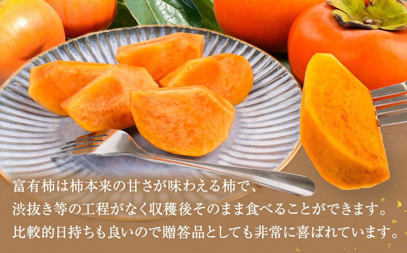 先行予約 富有柿 秀品6～8個入り こだわり農家厳選［2026年11月初旬頃から12月上旬頃順次発送］［KG25］