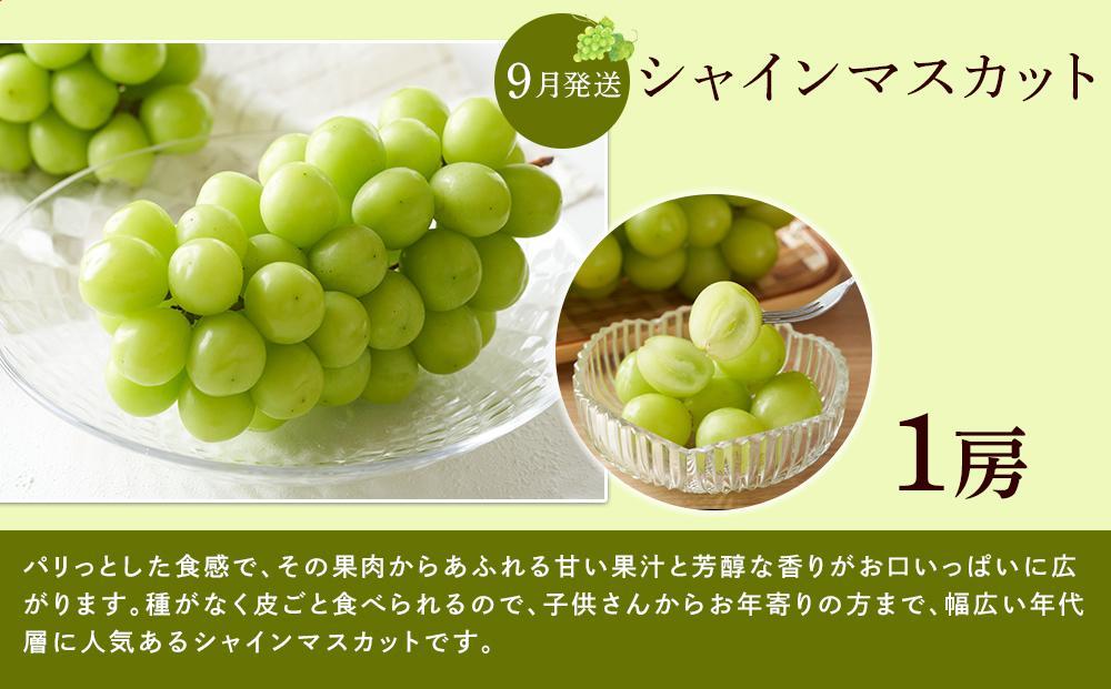 【全3回】和歌山厳選フルーツ定期便（ いちご 桃 シャインマスカット ）［MG16］