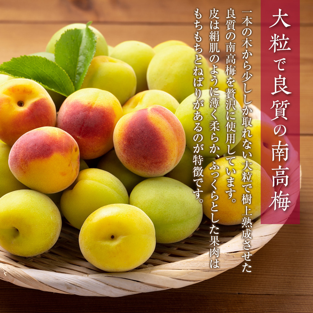 紀州南高梅 はちみつ梅 850g×1箱 ［Kn2］