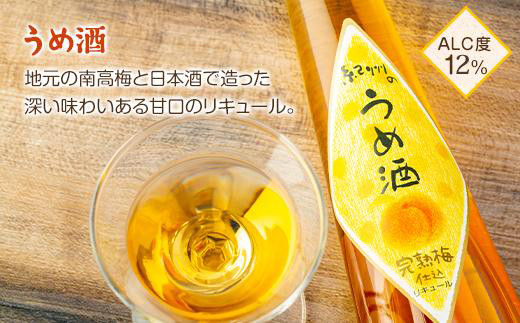 和歌山こだわりリキュール 紀州フルーツの酒3本ギフト