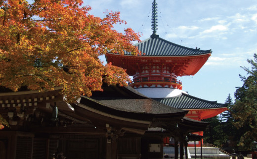 ＜世界遺産高野山＞ 宿坊 宿泊割引チケット 9,000円分