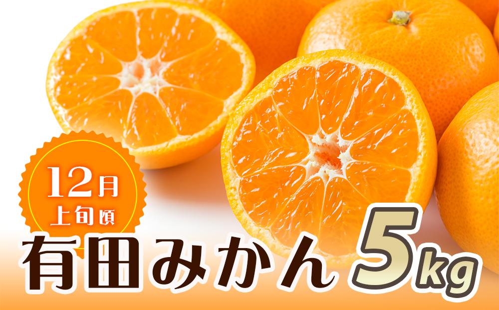 【魚鶴商店厳選】和歌山人気のフルーツ定期便（柿・みかん）【定期便全3回】【UT115】