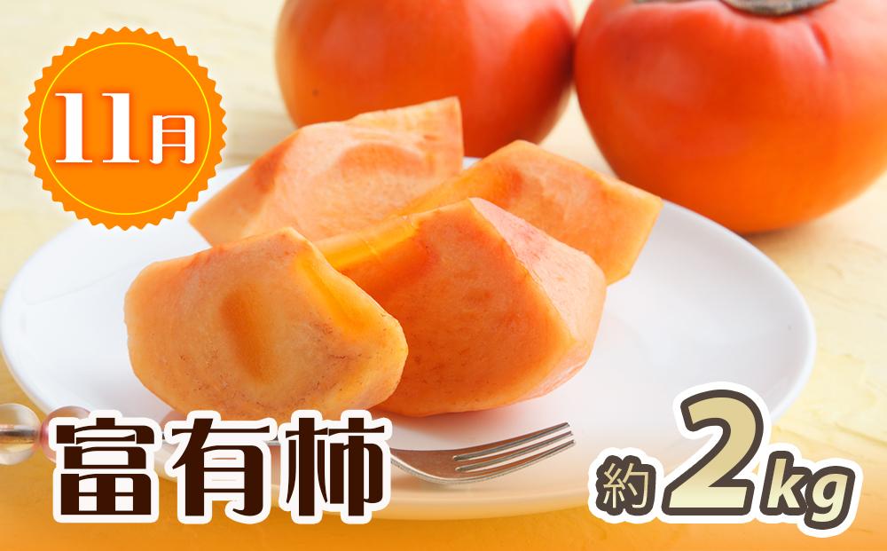 紀州和歌山産 旬にお届け！フルーツセット（不知火・桃・富有柿）【UT59】