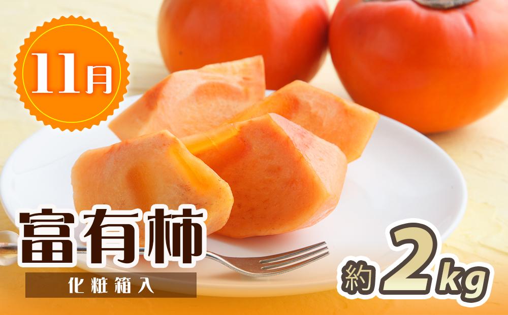 【3・7・11月 全3回】紀州和歌山産旬のフルーツセット（せとか・桃・富有柿） 定期便 【魚鶴商店】【UT72】